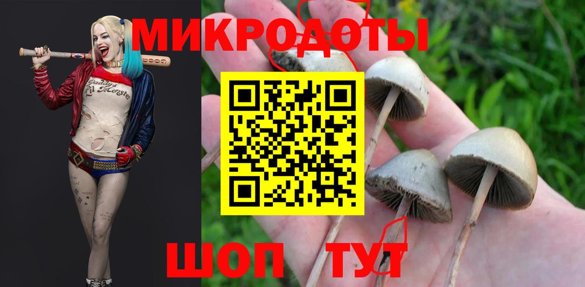 Галлюциногенные грибы Cubensis  Галлюциногенные грибы прущие грибы  Батайск  Вход с VPN 